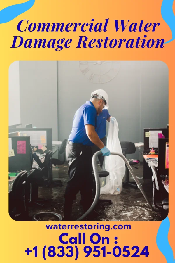 Commercial Water Damage Restoration in Long Branch, NJ