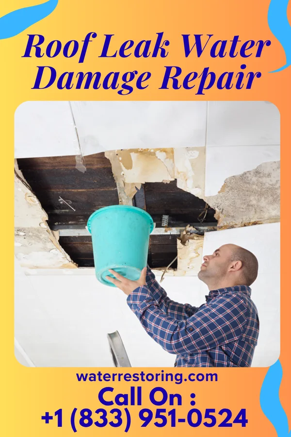 Roof Leak Water Damage Repair in Long Branch, NJ