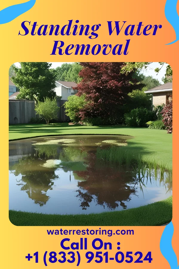 Standing Water Removal in Long Branch, NJ